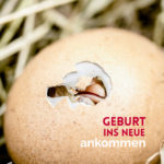 Geburt ins Neue