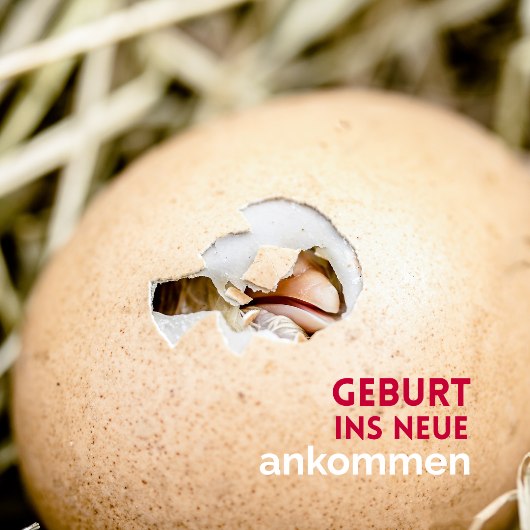 Du betrachtest gerade Geburt ins Neue