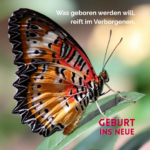 Was geboren werden will, reift zuerst im Verborgenen heran